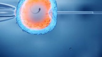 2026国内外试管婴儿费用大概要多少钱？具体收费如下