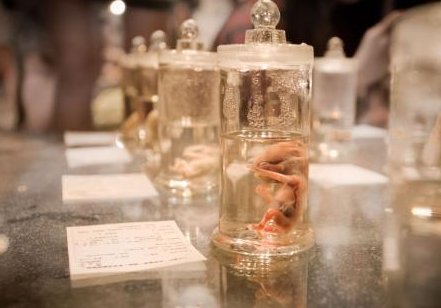 2026南宁十大正规助孕公司汇总，服务项目与患者评价一览