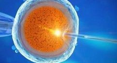 2026北京试管助孕专科医院排名更新，附北京热门助孕机构推荐