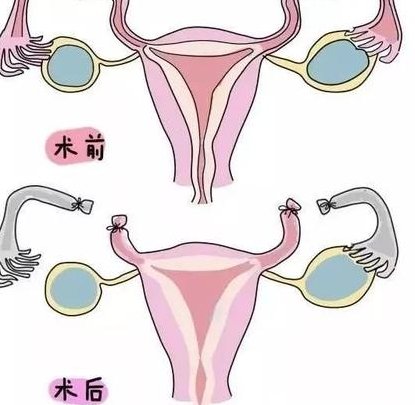 2026全国试管婴儿医院排行榜，全国十大试管医院排名