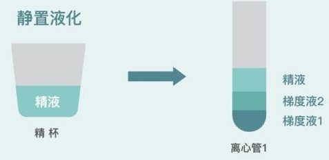 2026安徽省阜阳市最大的比较好的助孕公司，这三家都是不错的选择